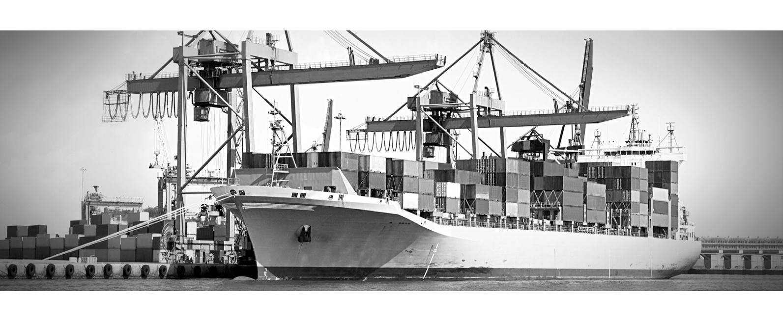 CRANE TO TRAIN, WE DO EVERYTHING